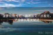 菠萝视频 专栏 · 高清图文一点看完，适合做长尾关键词