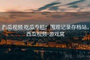西瓜视频 吃瓜专栏：围观记录存档站，西瓜视频-游戏窝