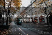 糖心app 围观记录存档站 · 适合做站内主标题