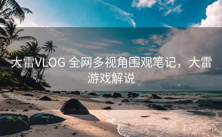 大雷VLOG 全网多视角围观笔记，大雷游戏解说