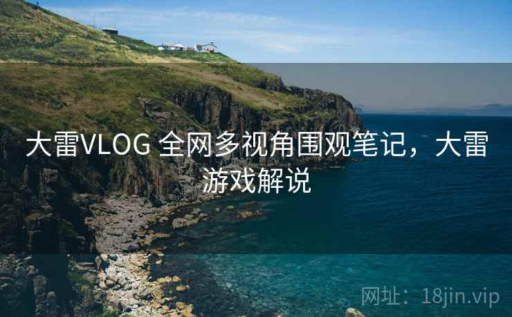 大雷VLOG 全网多视角围观笔记，大雷游戏解说