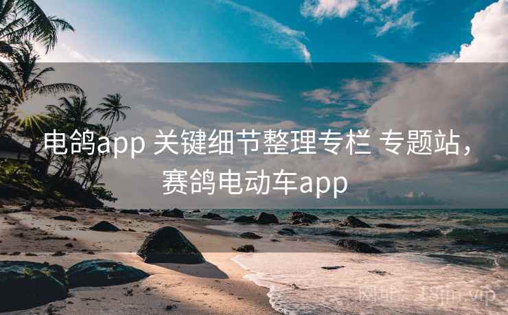 电鸽app 关键细节整理专栏 专题站,赛鸽电动车app 电鸽app 关键细节整理专栏 专题站,赛鸽电动车app