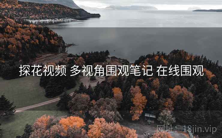 探花视频 多视角围观笔记 在线围观 探花视频 多视角围观笔记 在线围观